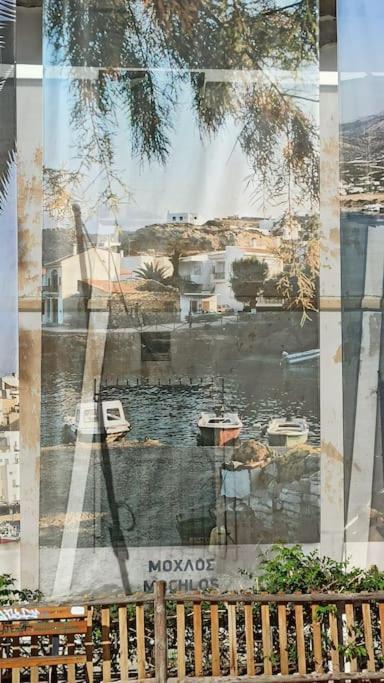 Seashell Apartment Sea View, Castle View 200Metres From The Beach Сития Екстериор снимка