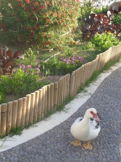 Seashell Apartment Sea View, Castle View 200Metres From The Beach Сития Екстериор снимка